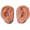 Acupunctuur trainings - oefen oren 9,5 cm x 6 cm x 4 cm à 2 stuks linker oor en rechter oor